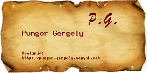 Pungor Gergely névjegykártya